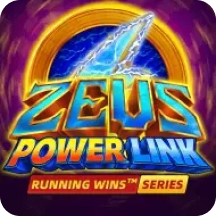 Zeus Power Link